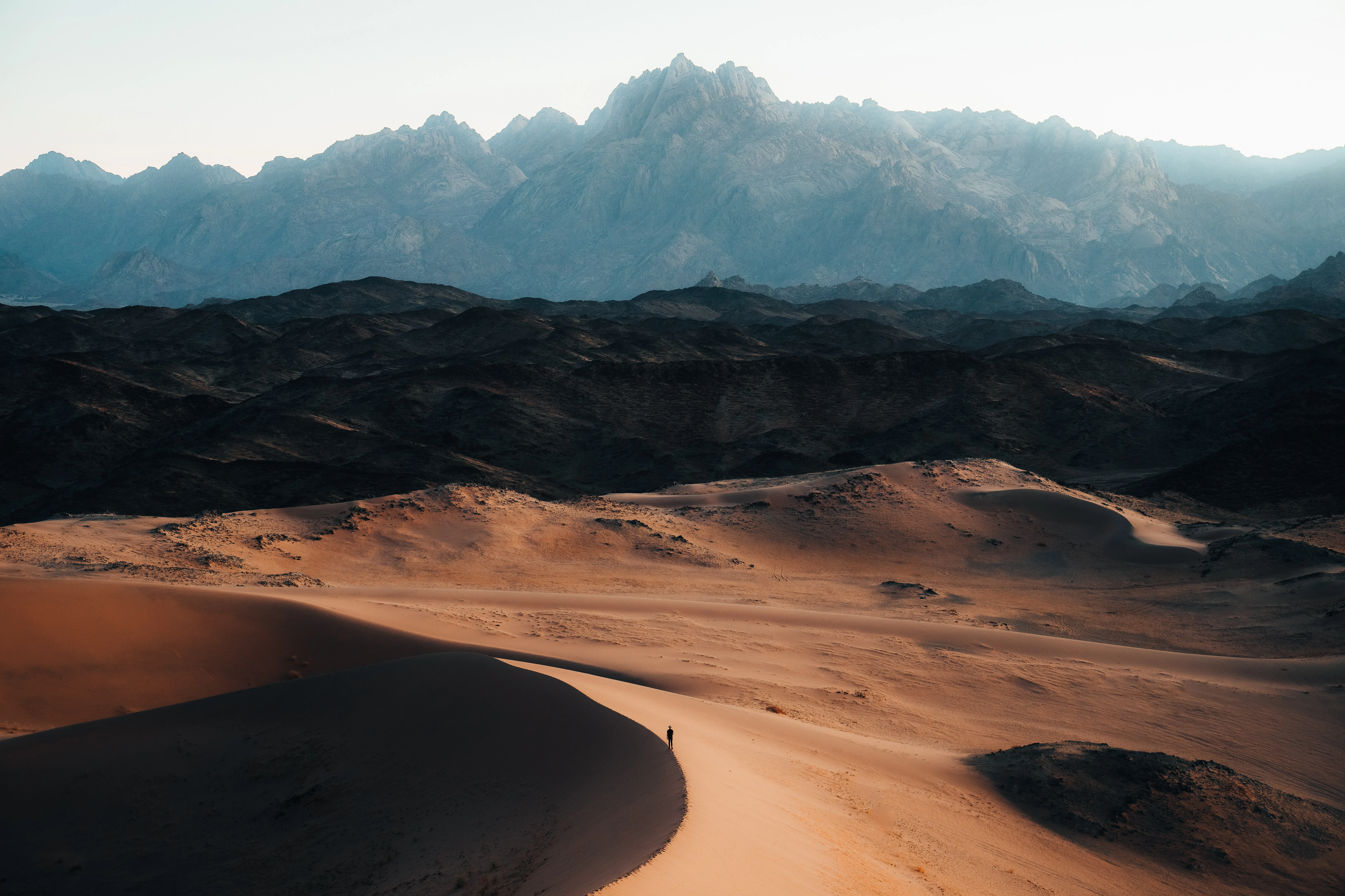 neom-t3dlLOhdEzs-unsplash